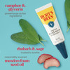 Burts Bees Cold Sore Treatment and Medicated Lip Balm With Menthol and Eucalyptus Oil Natural Origin Skincare 2 Tubes 00