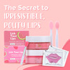 Lick Your Lips 6in1 Lip Care Kit With Lip Sleeping Mask Silicone Brush Sugar Lip Scrub Lip Mask Sheet to Reveal Luscious