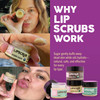 Eco Lips LIP SUGAR SCRUB 2 Pack 205oz jars 100 Organic Lip Care Treatment with Organic Sugar Coconut Oil Gently Exfoliat