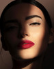 Pupa Milano True Lips Blendable Lip Liner DualEnded Matte Lining Color and Brush Light and Creamy Hydrating High Pigment