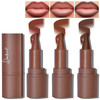 HOSAILY 3 Colors 2 in 1 Lip Liner Set Matte Nude Dark Brown Red Lip Liner Plumping Smooth Creamy Lip Pencil High Pigment