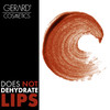 Gerard Cosmetics Color Your Smile Lip Gloss Pretty Penny Super Pigmented Bronze Glitter Lip Gloss with LED Light and Mir