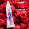 Blossom Scented Moisturizing Lip Gloss Tubes Infused with Real Flowers 09 fl oz27ml 3 pack Full Size Gift Set Strawberry