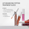 HydroPeptide Perfecting Gloss Lip Plumping Gloss Hydrating Treatment Volumizing CollagenBoosting Enhancer with Hyaluroni