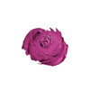 Amore Metallic Lip Creme Automattic Touch