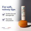 Embryolisse Protective Repair Lip Balm Shea Butter Care for Hydration and Protection of Chapped and Dry Lips 016 oz