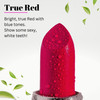 Fifth Skin BOTANICAL Lipstick BERRY RED Made in USA Vegan Natural Organic Cruelty Free Paraben Free NO Lead Moisturizing