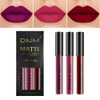 evpct 3Pcs Dark Purple Red Rose pink Matte Liquid Lipstick Sets for Black Women Matte Lipstick Lip Stain Long Lasting Wa