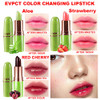 evpct 3Pcs Magic Color Changing Lipstick Long Lasting Waterproof 24 Hours Original for Women Aloe Vera Strawberry Black