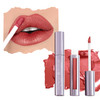 Runway Rogue Pearl Glam Long Wear Shimmer Liquid Lipstick Metallic Soft EarthyRed Lipstick with Gold Shimmer Day Rate