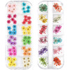 LPOne 2 Boxes 3D Nail Mini Dried Flowers Sticker Nail Art Resin Craft DIYReal Natural Dried Flowers Five Petal Flower Le