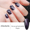 Allenbelle Magnet Cat Eye Gel Polish Soak Off UV Magetic Nail Polish with Magetic As Gift73Ml 008