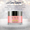 SNS Nail Dip Powder Gelous Color Dipping Powder Fashion Walk PinkPastel Cream LongLasting Dip Nail Color Lasts 14 Days L
