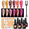 MEET ACROSS Ice Cat Eye Gel Nail Polish Set Magnetic Cat Eye Gel Nail Polish Set Soak Off UV LED Light Starry Sky Effect