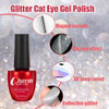 VERONNI Reflective Diamond Cat Eye Gel Nail Polish Sparkle Explosion Silver Glitter Cat Eye UV LED GelE01 with a magnet