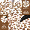 2000 Pcs Champagne Crystal Rhinestones Bulk for Crafting 6 Sizes Flatback Nail Rhinestones Round Bedazzling Gems with Tw