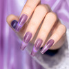 RARJSM Cat Eye Gel Nail Polish Galaxy Chameleon Magnetic Gel Violet Purple Holographic Glitter Gelpolish Soak Off UV LED