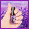 Teenitor Nail Gel Polish Dipping Powder Remover Tools Kit with Nail Clips Nail Remover Pads Cuticle Oil Nail Brushes Nai