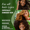 Herbal Essences Avocado Oil Sulfate Free Shampoo, Hair Repair, 13.5 Fl Oz, with Certified Camellia Oil and Aloe Vera, For All Hair Types, Especially online at globaldelivered