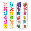 3D Nail Dried Flowers Sticker Set CHANGAR Real Dried Flowers for Nail Art Resin Craft DIY Five Petal Flower Leaf Gypsoph