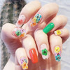 3D Nail Dried Flowers Sticker Set CHANGAR Real Dried Flowers for Nail Art Resin Craft DIY Five Petal Flower Leaf Gypsoph