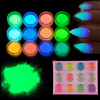 MEILINDS Night Fluorescence Pigment Ultrafine Glitter Glow Powder Nail Art Dust Glow in The Dark Powder Luminous Decor T