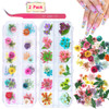 2 Boxes Dried Flowers for Nail Art KISSBUTY 24 Colors Dry Flowers Mini Real Natural Flowers Nail Art Supplies 3D Appliqu