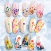 2 Boxes Dried Flowers for Nail Art KISSBUTY 24 Colors Dry Flowers Mini Real Natural Flowers Nail Art Supplies 3D Appliqu