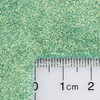 GLITTIES Sea Breeze Nail Art Iridescent Fine 008 Glitter Powder for Gel Nail Polish Gel and Acrylic Nail Powder 10 Gram