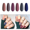Vishine FallWinter Gel Nail Polish Set 6 Colors Grey Purple Gel Polish Kit Nail Gel Polish Set Soak Off UV LED Nail Gel