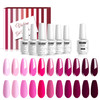 Vishine Gel Polish 12Pcs Soak Off UV LED Nail Art Manicure DIY Salon Set Pink Fuchsia Rose Purple Color Series with Matt
