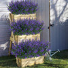 ArtBloom 8 Bundles Outdoor Artificial Lavender Fake Flowers UV Resistant Shrubs Faux Plastic Greenery for Indoor Outside