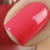 Vishine Gel Nail Polish UV Nail Lacquer Gel Coral Pink Color Gel Nail Polish Cured with UV LED Lamp 05 fl oz