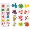 TEOYALL 24 Colors Dried Flowers for Nail Art 2 Boxes 3D Dry Flowers Nail Stickers Colorful Natural Real Flower Nail Deca