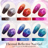 MSRUIOO Color Changing Reflective Gel Nail Polish Temperature Color Change Glitter Gel Polish Diamond Glitter Silver Pin
