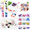 iFancer 108 Pcs Dried Flowers for Resin Nail Art 62 Colors 3D Dry Flowers for Nails 2 Boxes Small Tiny Dried Flowers for