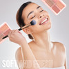 Profusion Cosmetics Blush I 6 Shade Blush Palette LongWearing Matte Satin Finishes Blendable Face Makeup with Vitamin A