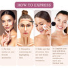 Youngfocus Cosmetics Cream Contour Best 8 Colors and Highlighting Makeup Kit Contouring FoundationConcealer Palette Vega