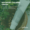 ISNTREE Mugwort calming cream 50ml 169 floz Soothes ensitive skin Balances oil and moisture