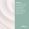 ISNTREE Mugwort calming cream 50ml 169 floz Soothes ensitive skin Balances oil and moisture