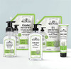 JR Watkins Gel Hand Soap Scented Liquid Hand Wash for Bathroom orKitchen USA Made and Cruelty Free 11 fl oz Aloe Green T
