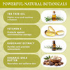 Dr Woods Tea Tree Liquid Facial Cleanser Made with Organic Shea Butter Natural Tea Tree Oil Face Wash for Men and Women