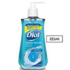 Dial Complete Antibacterial Liquid Hand Soap, Spring Water, Blue, 7.5 fl oz (Pack of 1) online at globaldelivered