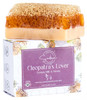 SABUN CO Donkey Milk Soap with Honey Natural Exfoliating Loofah Soap Bar Nourishing Hydrating Moisturizing and Handmade