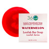 360Feel Natural Luffa Soap Bar Watermelon Exfoliating Soap with Loofah Inside EcoFriendly Natural Soap with Loofah Insid