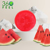 360Feel Natural Luffa Soap Bar Watermelon Exfoliating Soap with Loofah Inside EcoFriendly Natural Soap with Loofah Insid
