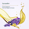 Le Petit Olivier Pure Marseille Liquid Soap Lavender Perfume Gently Cleanses Skin Delicately Perfumed Vegetable Origin B
