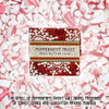 Greenwich Bay Trading Christmas Holiday Soap Sampler Gift Boxed Set of 4 Assorted Scents