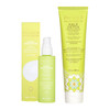 Pacifica Kale Detox Deep Cleansing Face Wash Kale Smoothie Refining Lotion Set of 2 PoreMinimizing Skincare Duo for Oily