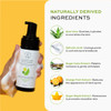 The Natural and Organic Family Clarifying Face Wash with Salicylic Acid Facial Cleanser for Oily Normal and Combination